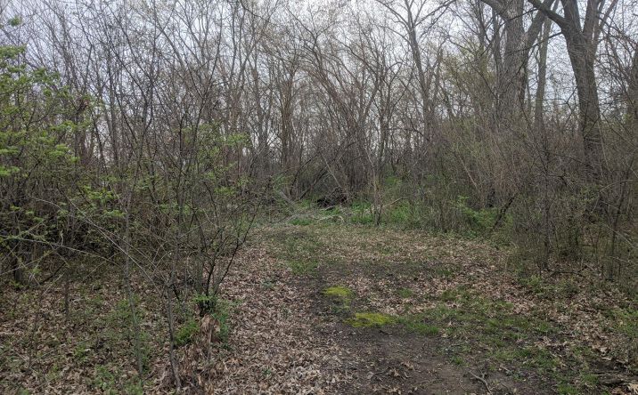 Pictures of Land property located at 1211-1227 Joliet St, Dyer, IN 46311 for sales - image #1