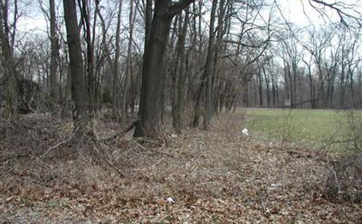 Pictures of Land property located at Central Ave, Portage, IN 46368 for sales - image #1