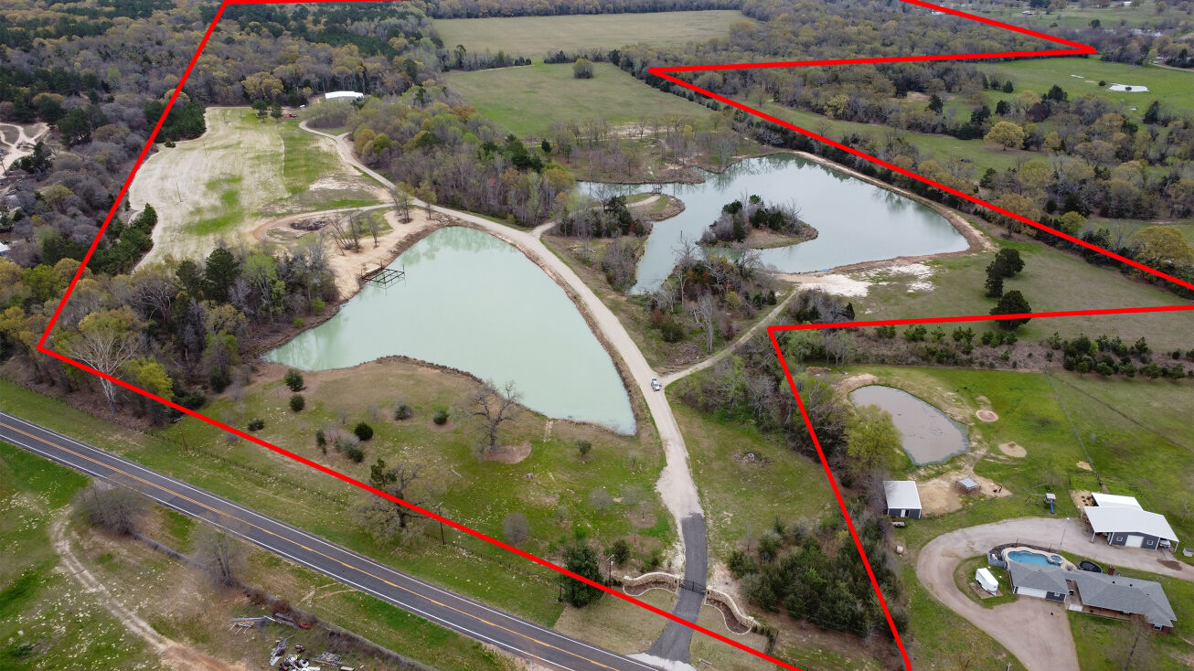 6369 FM279, Ben Wheeler, TX 75754 Land for Sale 173 +/ Acres in