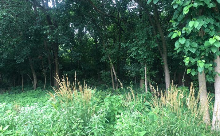 Pictures of Land property located at 1703 S Fairbanks St, Griffith, IN 46319 for sales - image #1