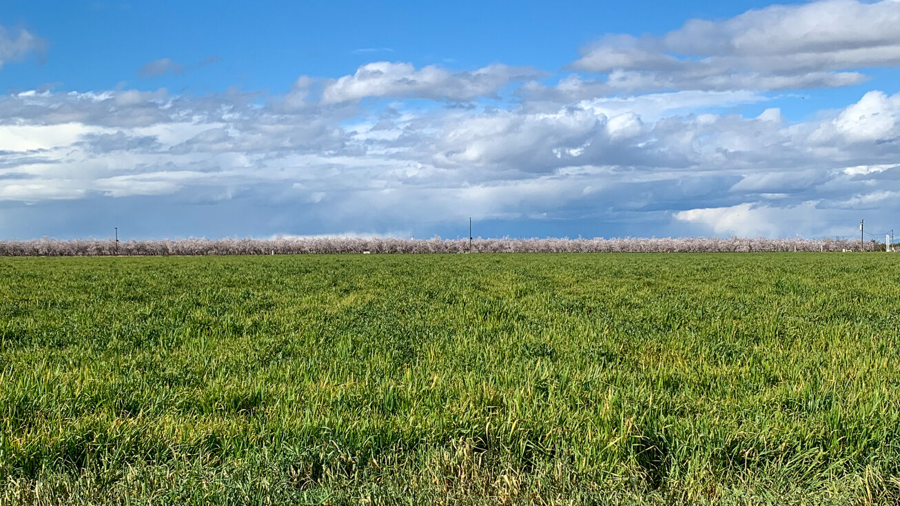 Elmo Hwy, McFarland, CA 93250 Land for Sale 123.35 +/ Acres of