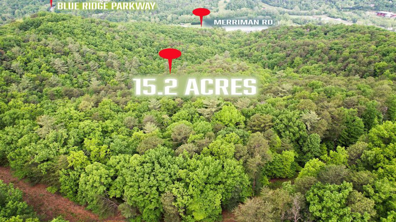 Starkey Rd, Cave Spring, VA 24018