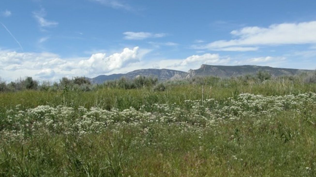 143 Southfork Rd, Cody, WY 82414