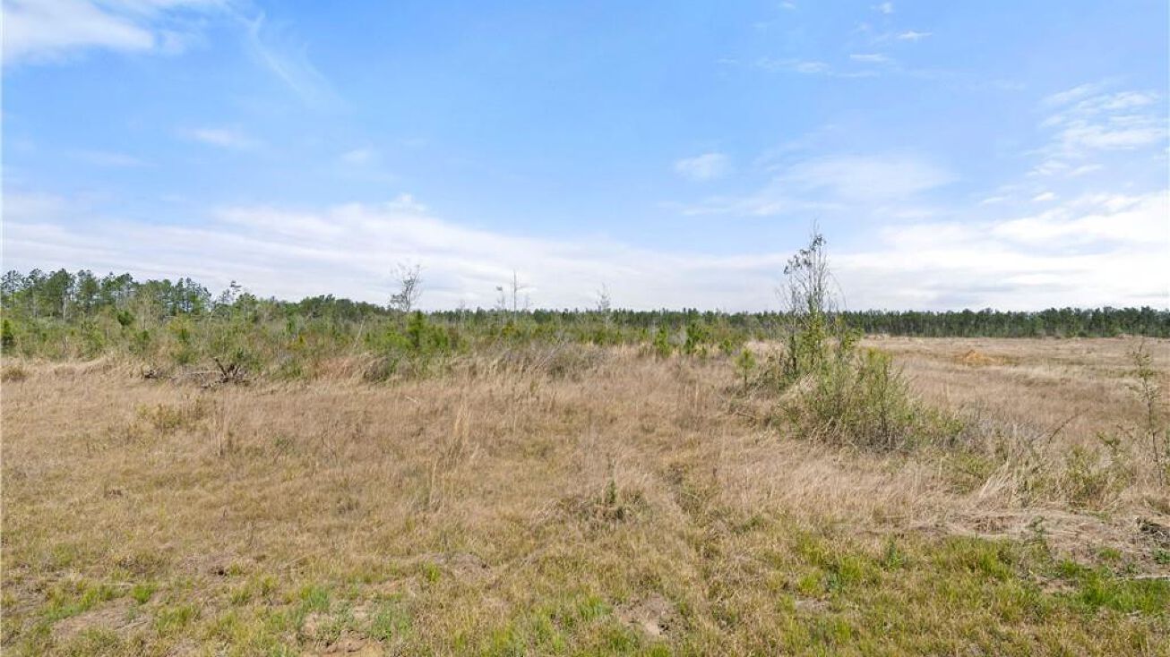 Rea Rd, DeRidder, LA 70634