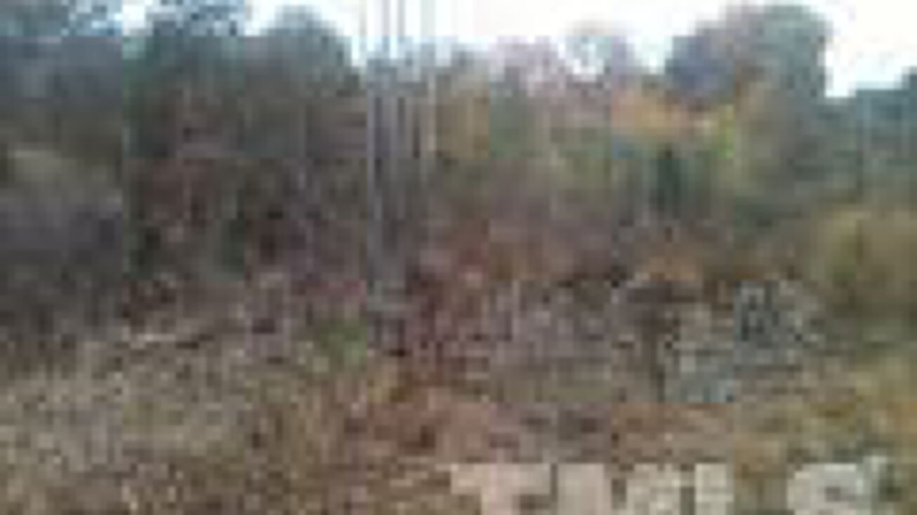 Williams Mill Rd, Burlington, NC 27215