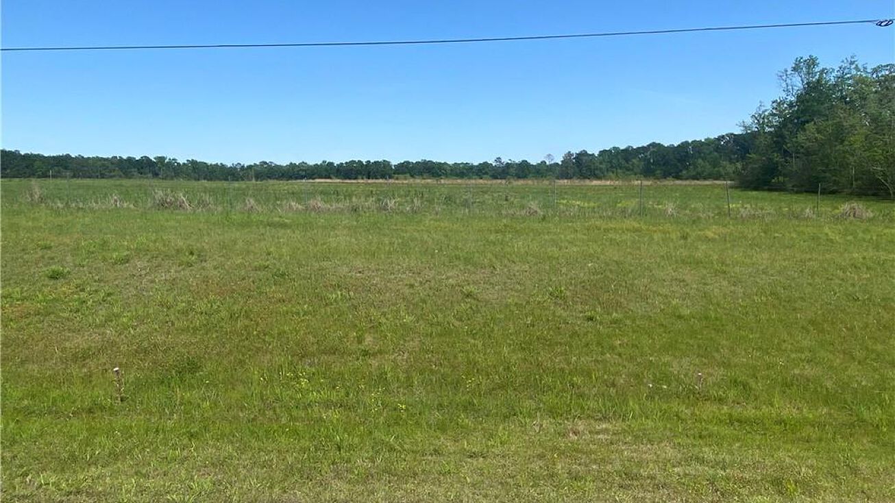 Tract 2 TBD HWY 171 Highway, DeRidder, LA 70634