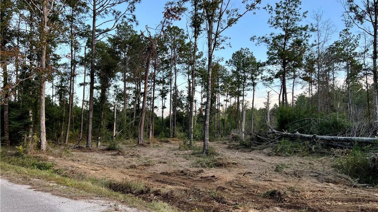 Gimnick Rd, Ragley, LA 70657