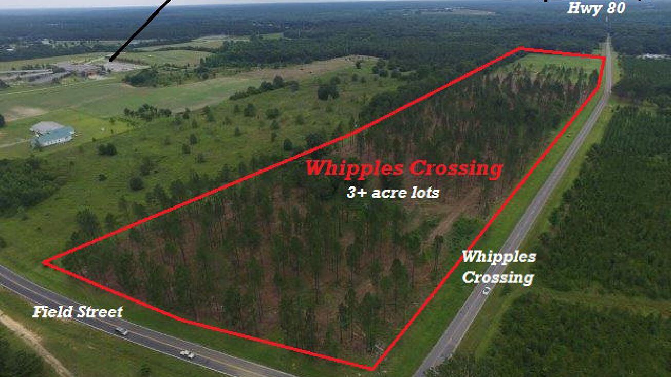 0 Whipples Crossing Rd, Dudley, GA 31021