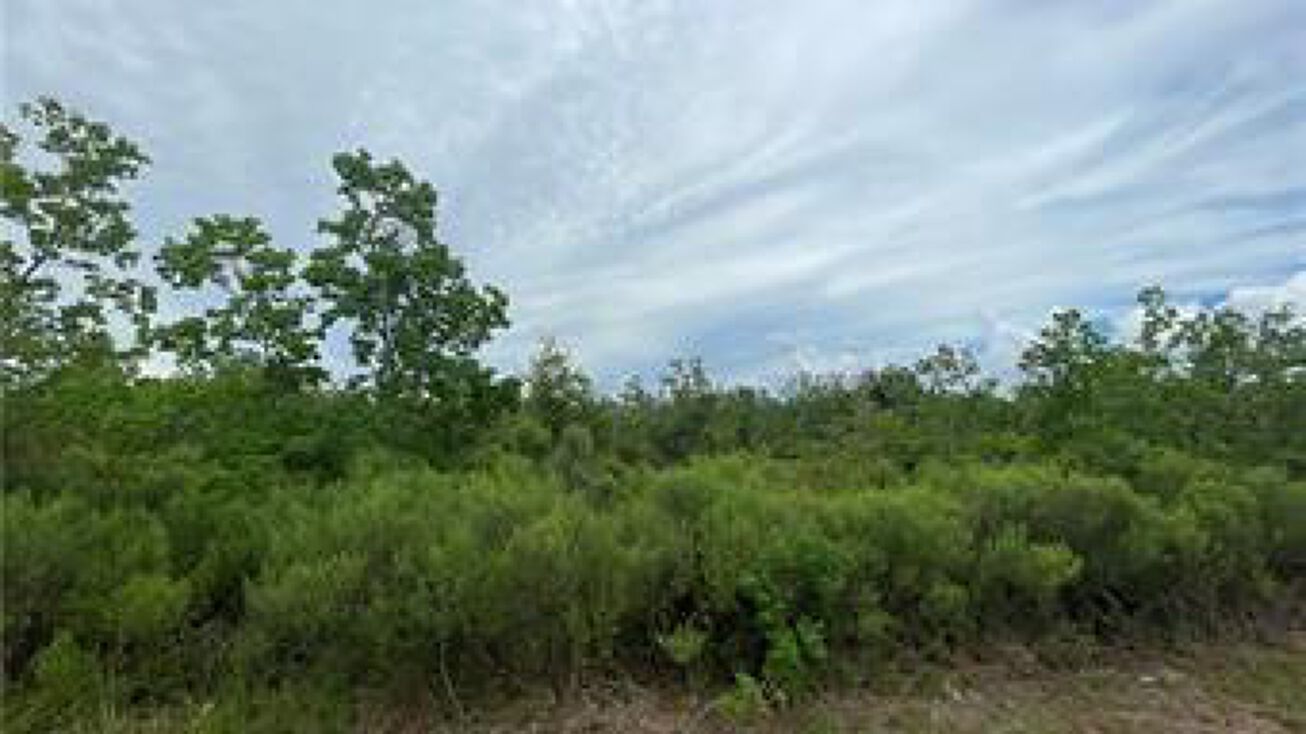 Boys Rd, Lake Charles, LA 70607 Land for Sale Boys Road
