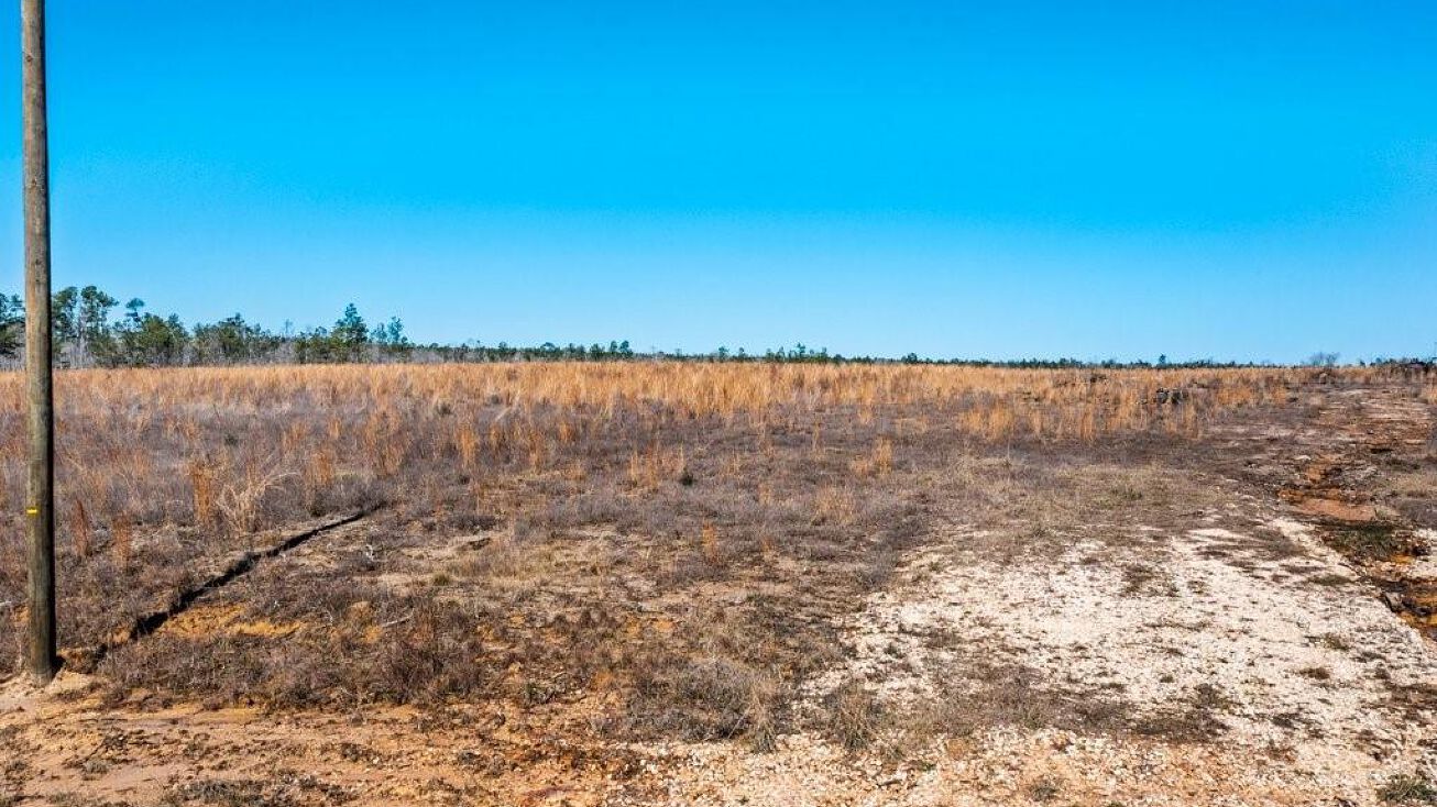 1806 Whittington Road, Longville, LA 70652 Land for Sale 1806