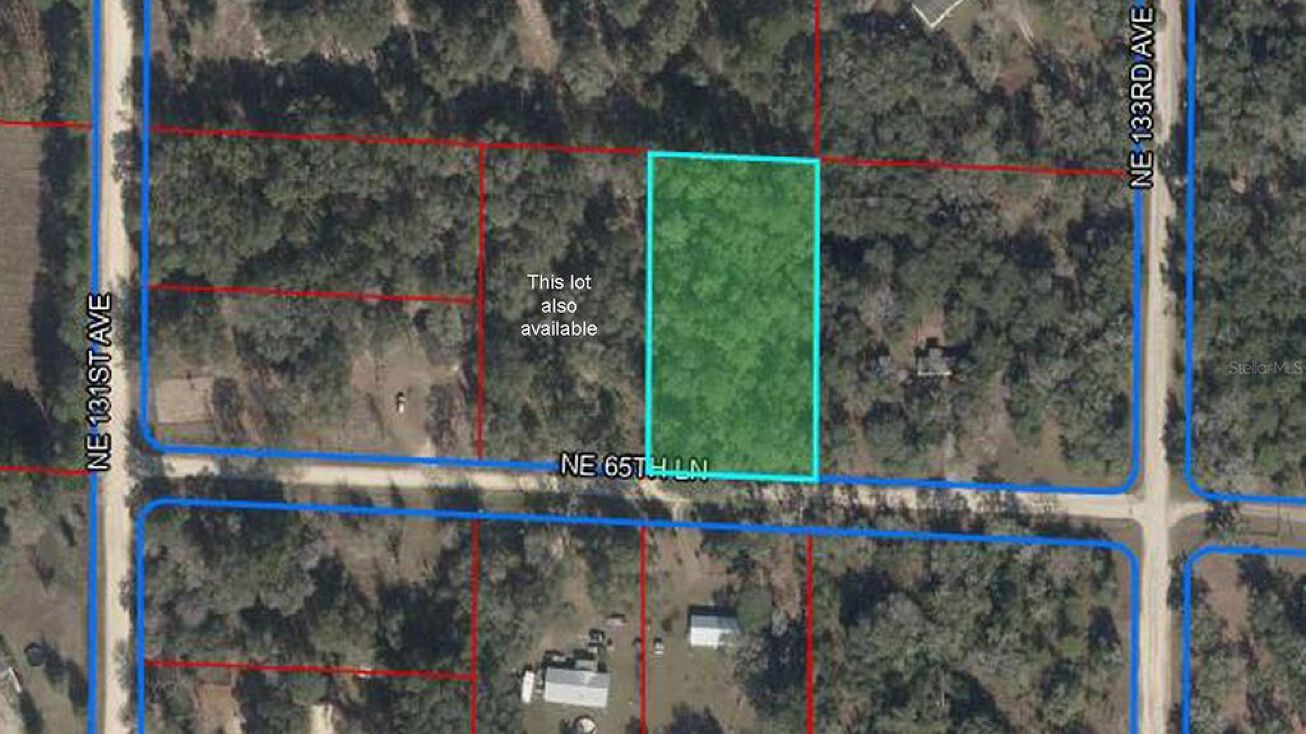 13251 NE 65th Ln, Williston, FL 32696 Land for Sale 13251 Ne 65th Lane