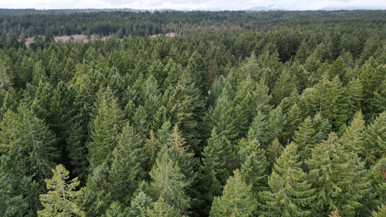 Greaves Way, Silverdale, WA 98383 Land for Sale 000 Greaves Way