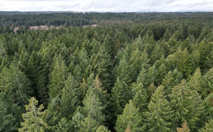 Pictures of Land property located at Greaves Way, Silverdale, WA 98383 for comps - image #1