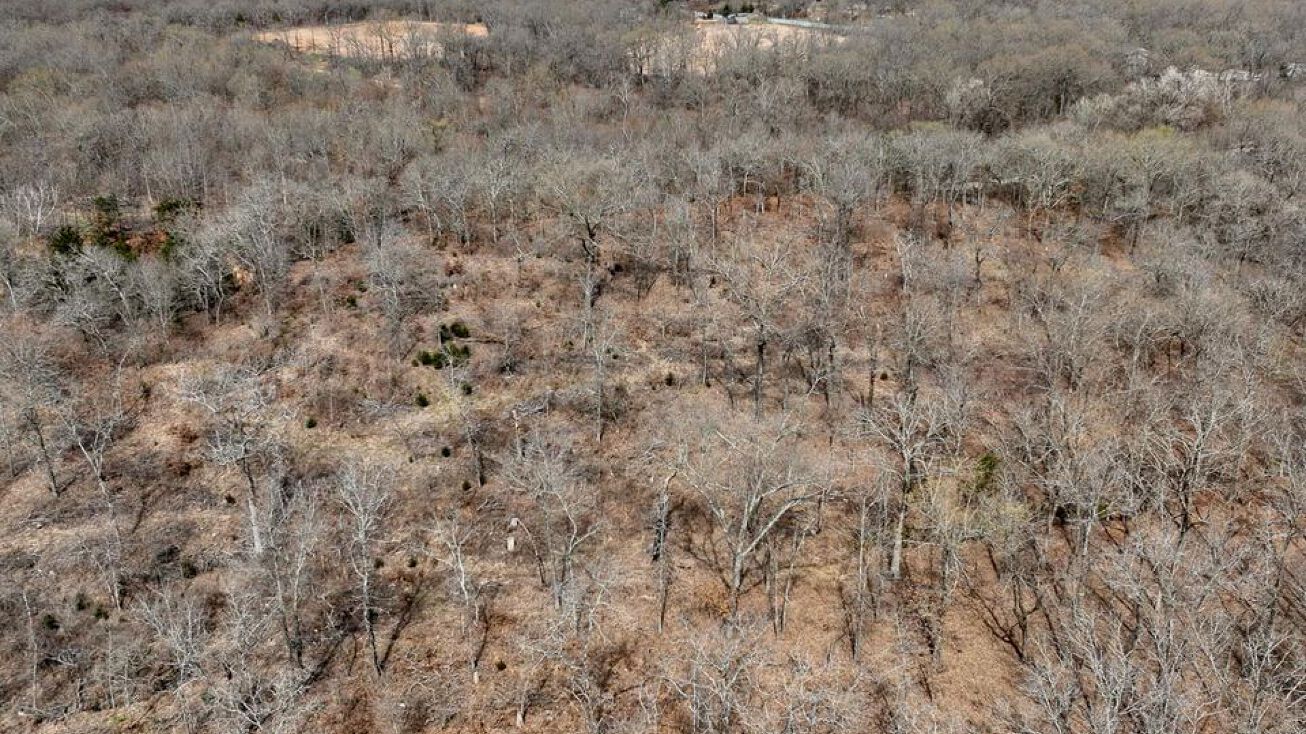 Pictures of Land property located at S. Old Highway, Atoka, OK 74525