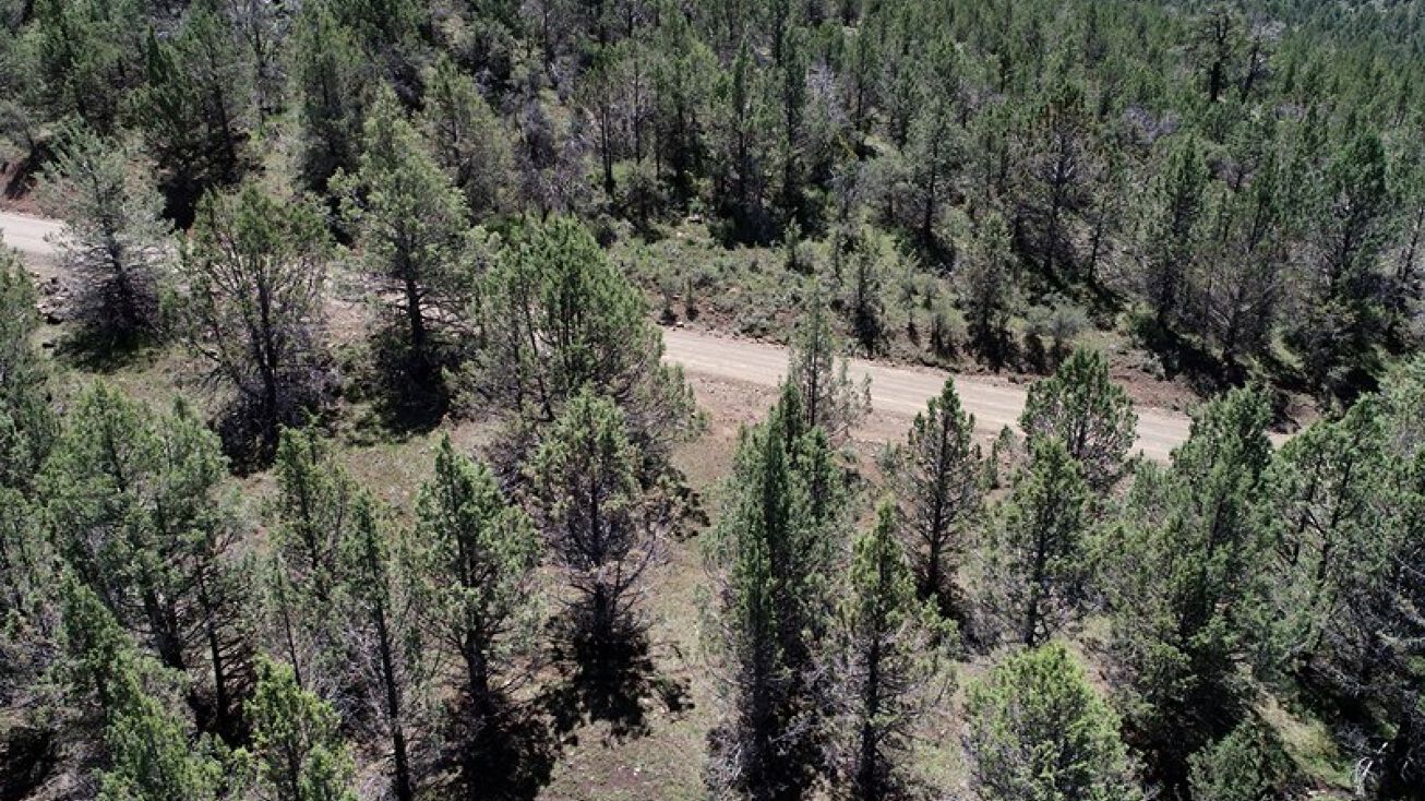 20+/ Acres off Ash Valley Rd,, Millersville, PA 17551