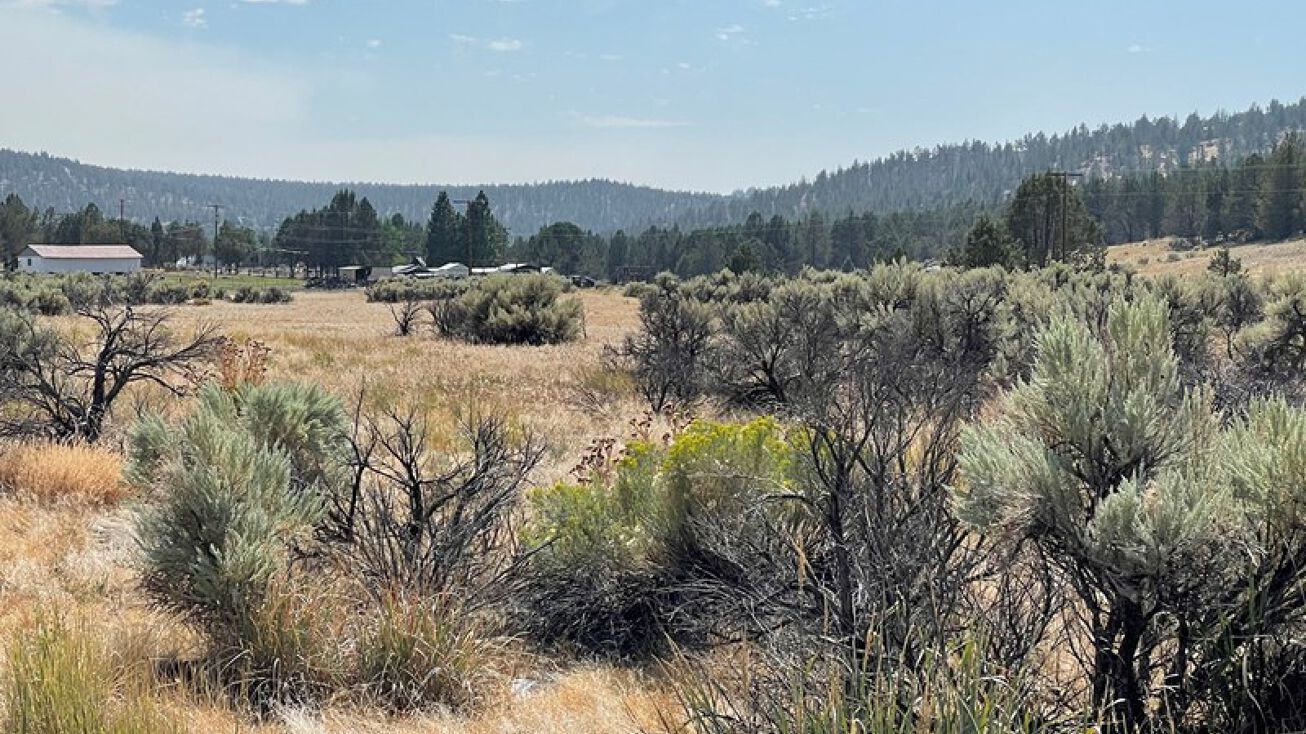 Pencil Rd, Alturas, CA 96101 - Land for Sale - Pencil Rd