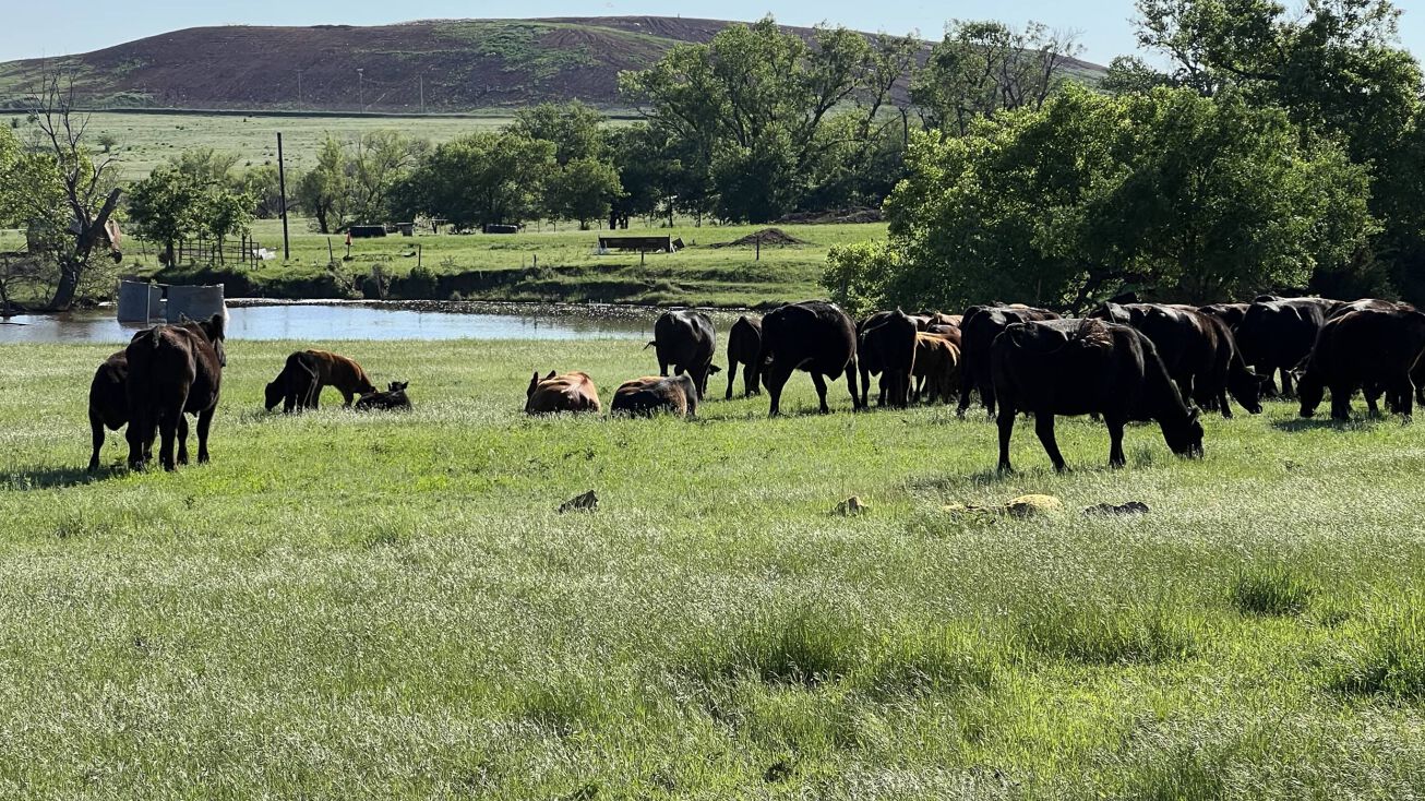 2125 E Southgate Rd, Enid, OK 73701