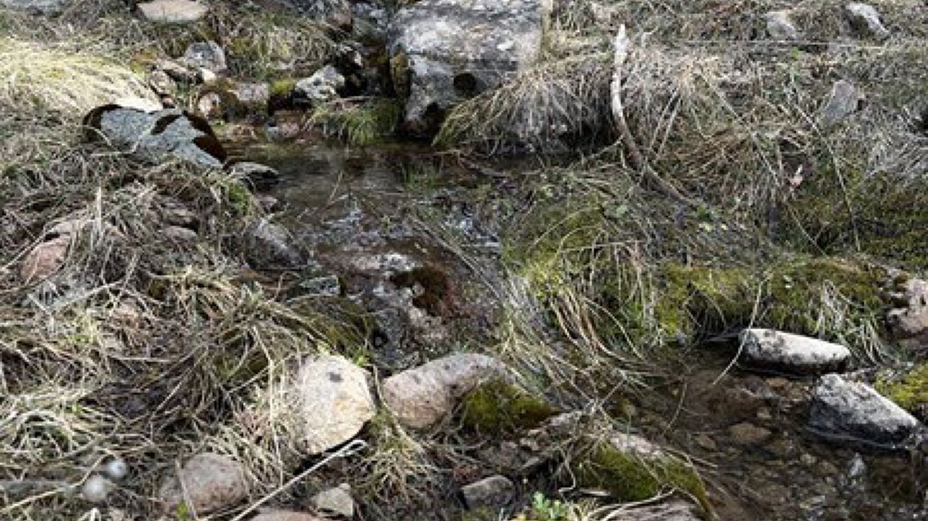 Warner Mountain Dr, Alturas, CA 96101 Land for Sale Lot 30 Warner