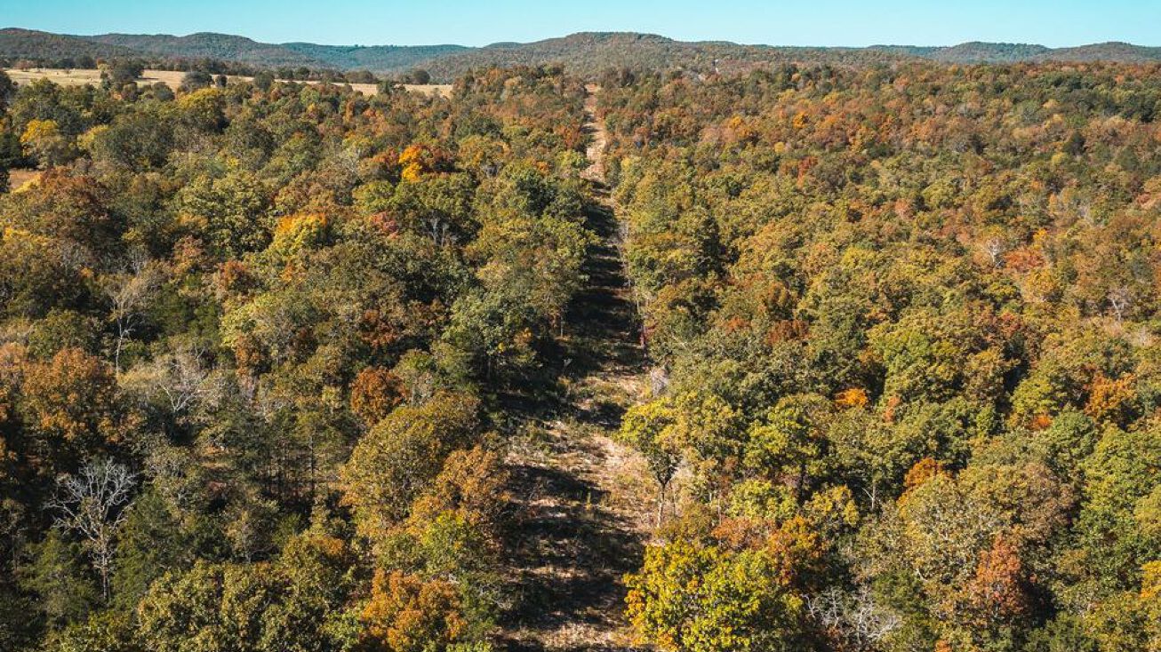 Gunnison Road, Kirbyville, MO 65679