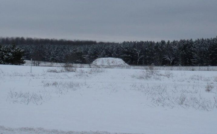 Pictures of Land property located at Us-131, Elmira, MI 49730 for sales - image #1