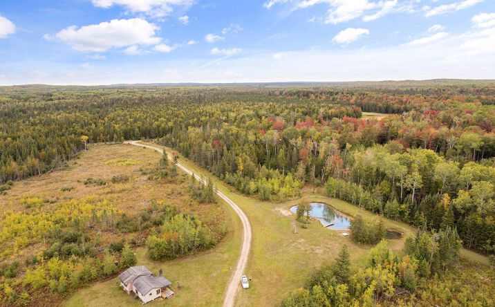 Pictures of Land property located at 2002 Willick Rd, Gaylord, MI 49735 for sales - image #1