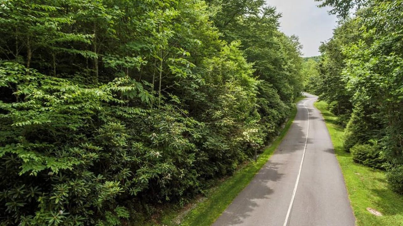 Falcon Ridge, Highlands, NC 28741 Land for Sale Lot 1&2 Falcon Ridge