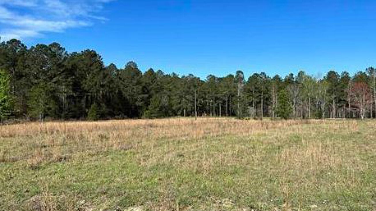Honey Bee Rd, Hawkinsville, GA 31036 Land for Sale Honey Bee Road