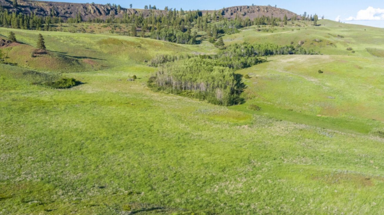 TBD Dick Ranch Rd, Entiat, WA 98822