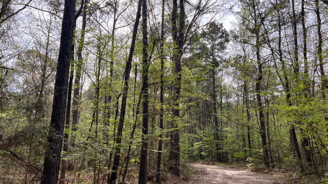 Joe Hudson Rd, Trinity, TX 75862 Land for Sale 13 Acres 9F