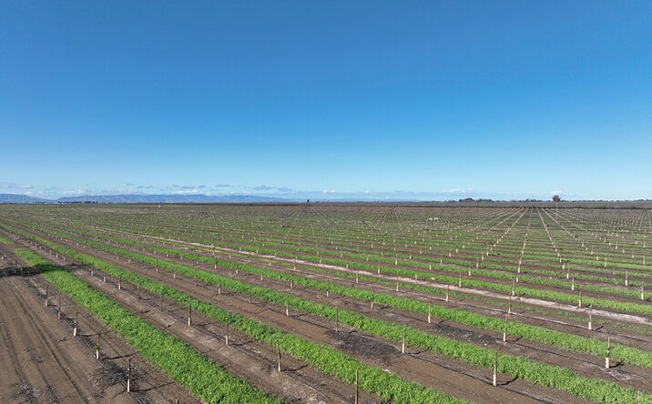 image of property at 8535 BULKLEY RD Dixon CA 95620-9616