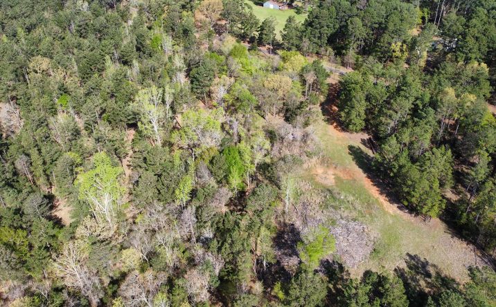 Pictures of Land property located at TBD County Rd 434, Lindale, TX 75771 for sales - image #1