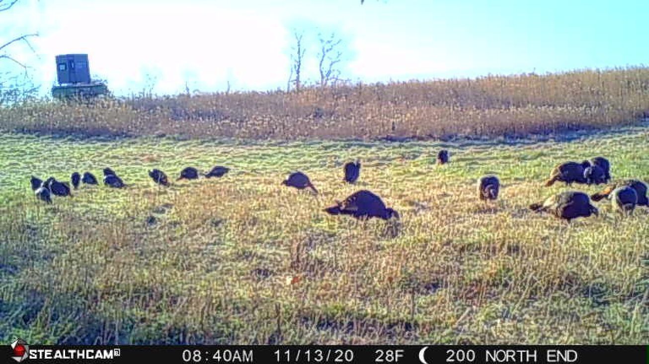 105th St, Allerton, IA 50008