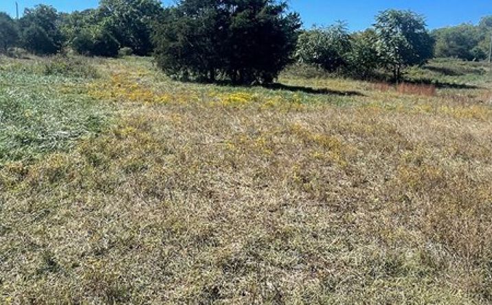Pictures of Land property located at 6312 County Road W76-436, Ava, MO 65608 for sales - image #1