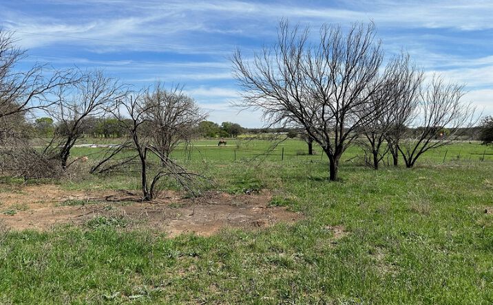 Pictures of Land property located at 803 Bay Breeze Dr, Brownwood, TX 76801 for sales - image #1
