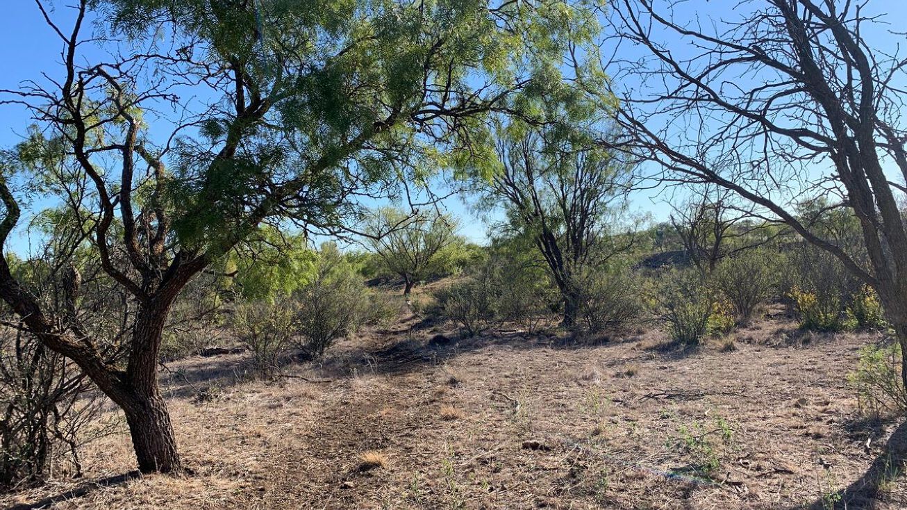 TBD FM 2287, Cross Plains, TX 76443