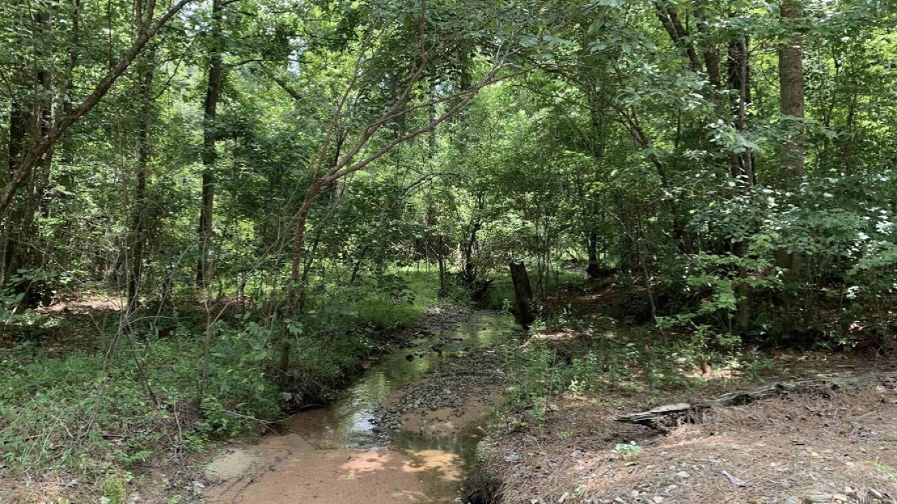 Edwards Rd, Franklin, GA 30217 Land for Sale 1158 Acres Goldeye