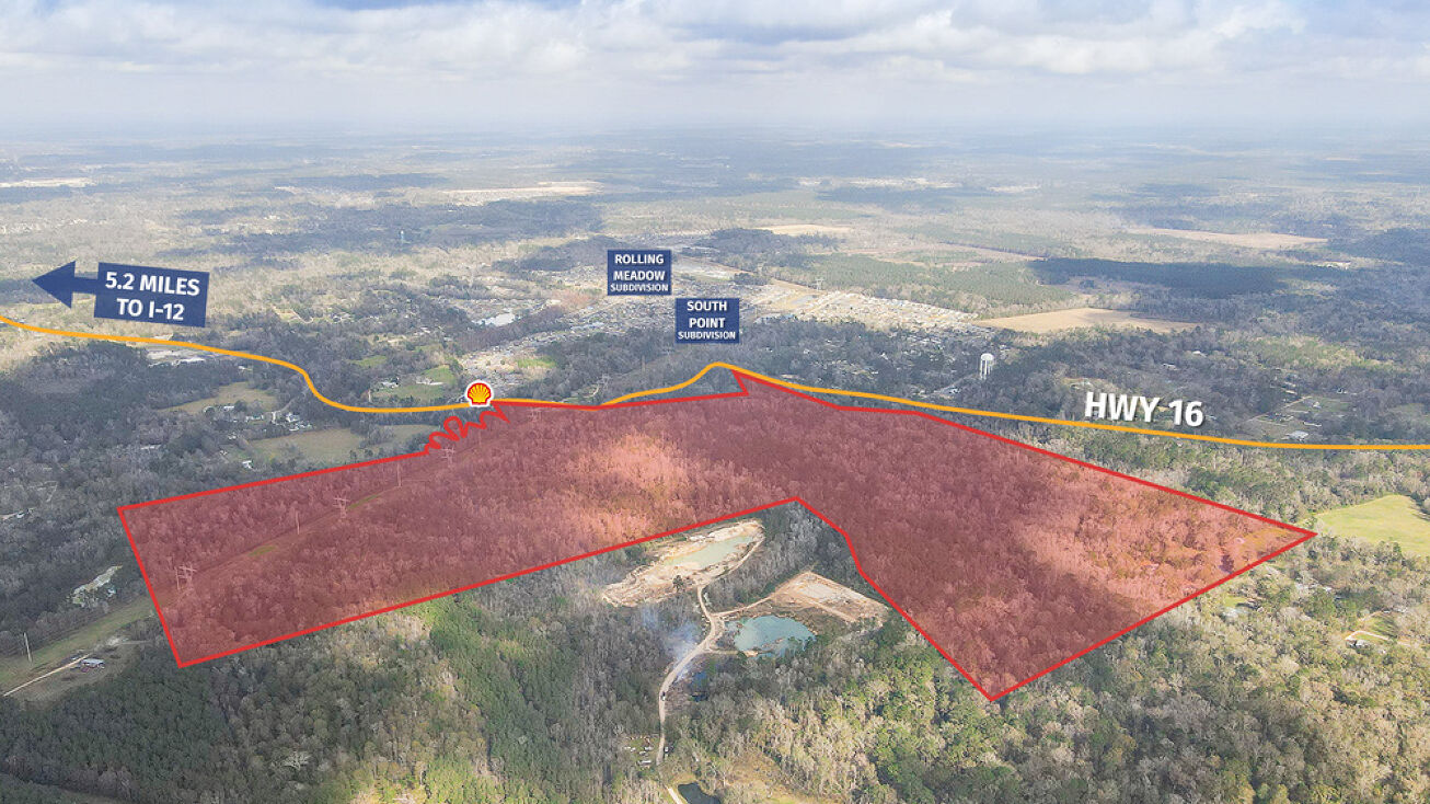 187 Acres La Hwy 16, Denham Springs, LA 70726