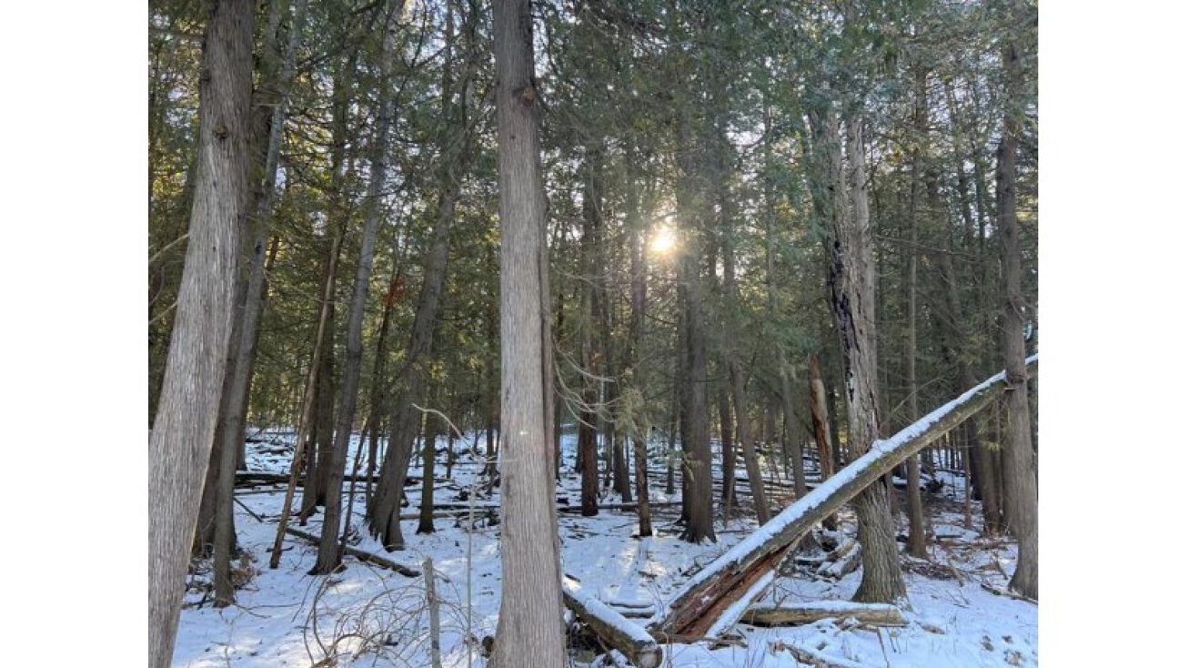 Cliff View Dr, Sturgeon Bay, WI 54235 Land for Sale Cliff View Dr