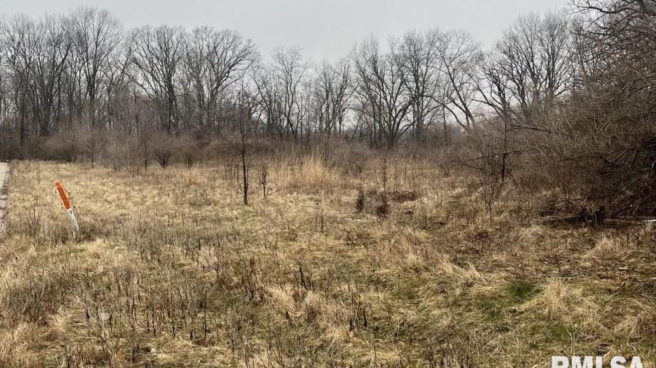 1010 206 EASTGATE Road, Washington, IL 61571