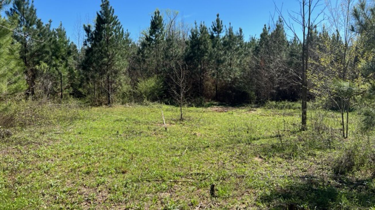 3190 Lower Shellman Rd, Shellman, GA 39886