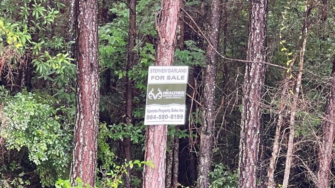 Lot 1 Old Hills Bridge Rd, Enoree, SC 29335