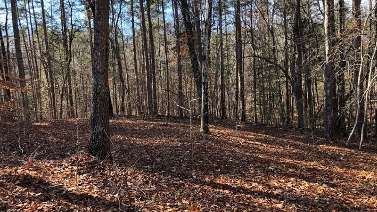 71 Lakefront Dr, Clarksville, VA 23927