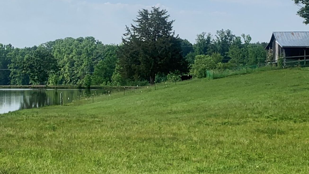 840 Tabernacle Rd, Buffalo Junction, VA 24529 Land for Sale Rolling Farms in Southern Va