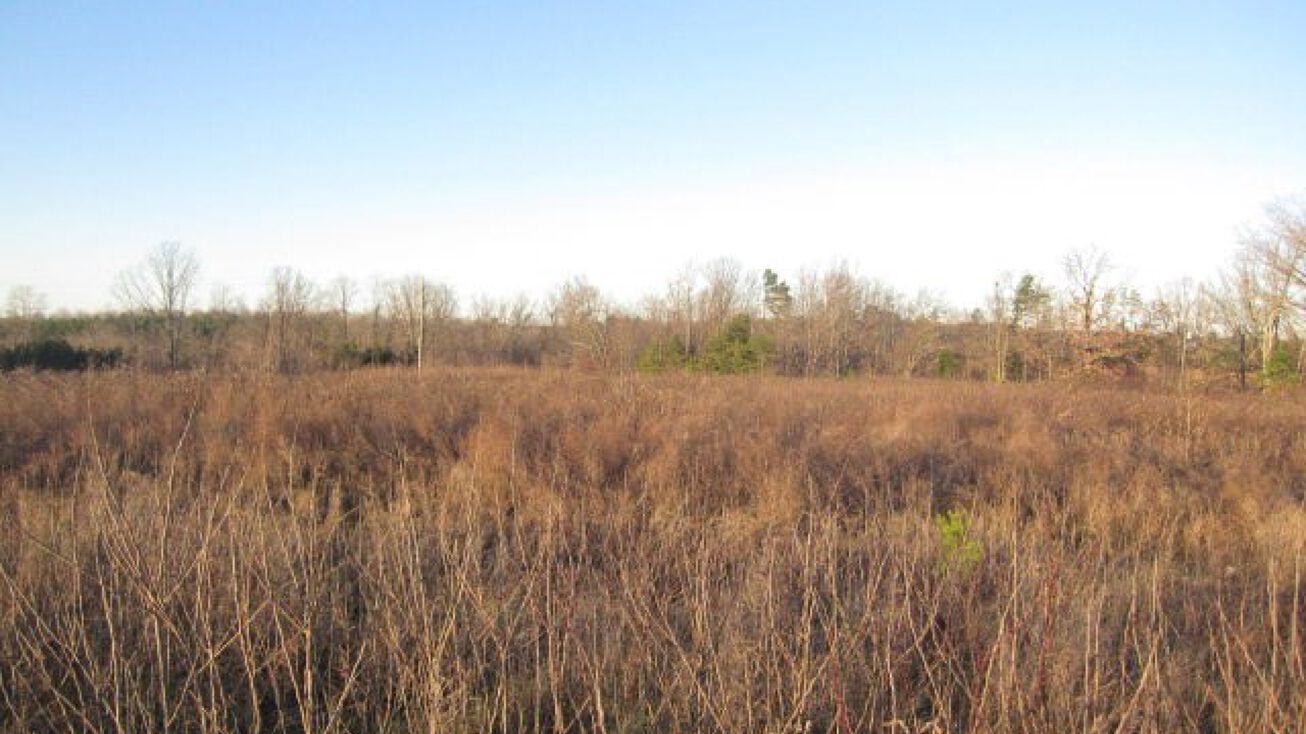 Lots 67 Mountain Road, Vernon Hill, VA 24597