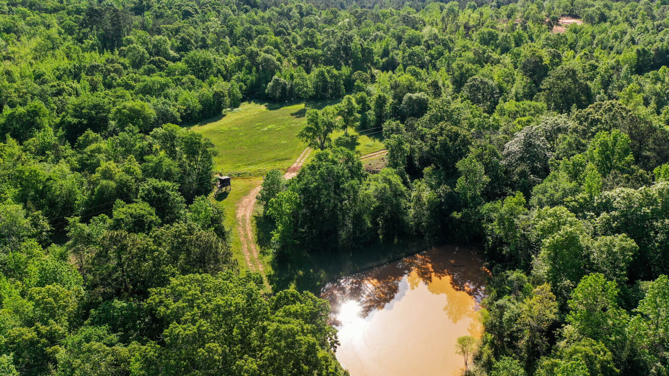 60 Acre Ranch With Home, Jacksonville, TX 75766