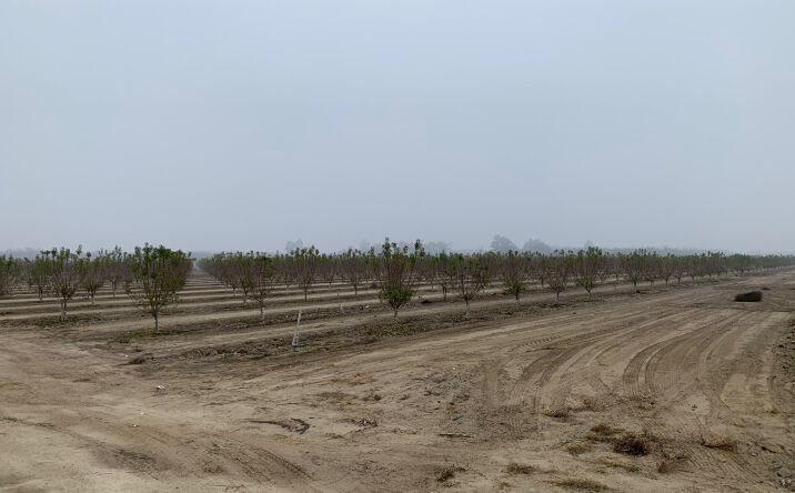 Pictures of Land property located at 14899 Ave 295, Visalia, CA 93291 for sales - image #1