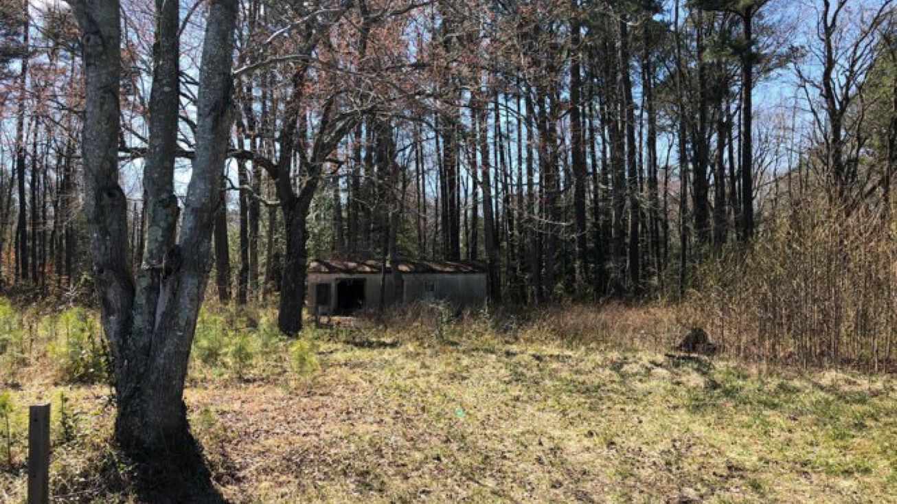 31573 Bruceville Rd, Trappe, MD 21673 Land for Sale 31573 Bruceville Rd