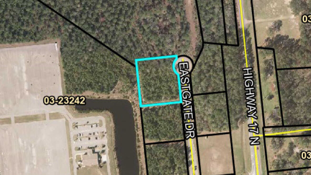 19 Eastgate Dr, Brunswick, GA 31525