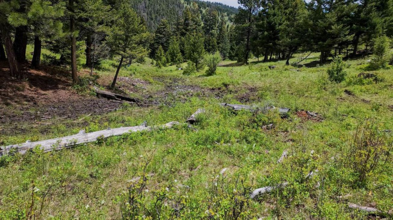 5 Tract, Drummond, MT 59843 Land for Sale 5 Tract, 209.29