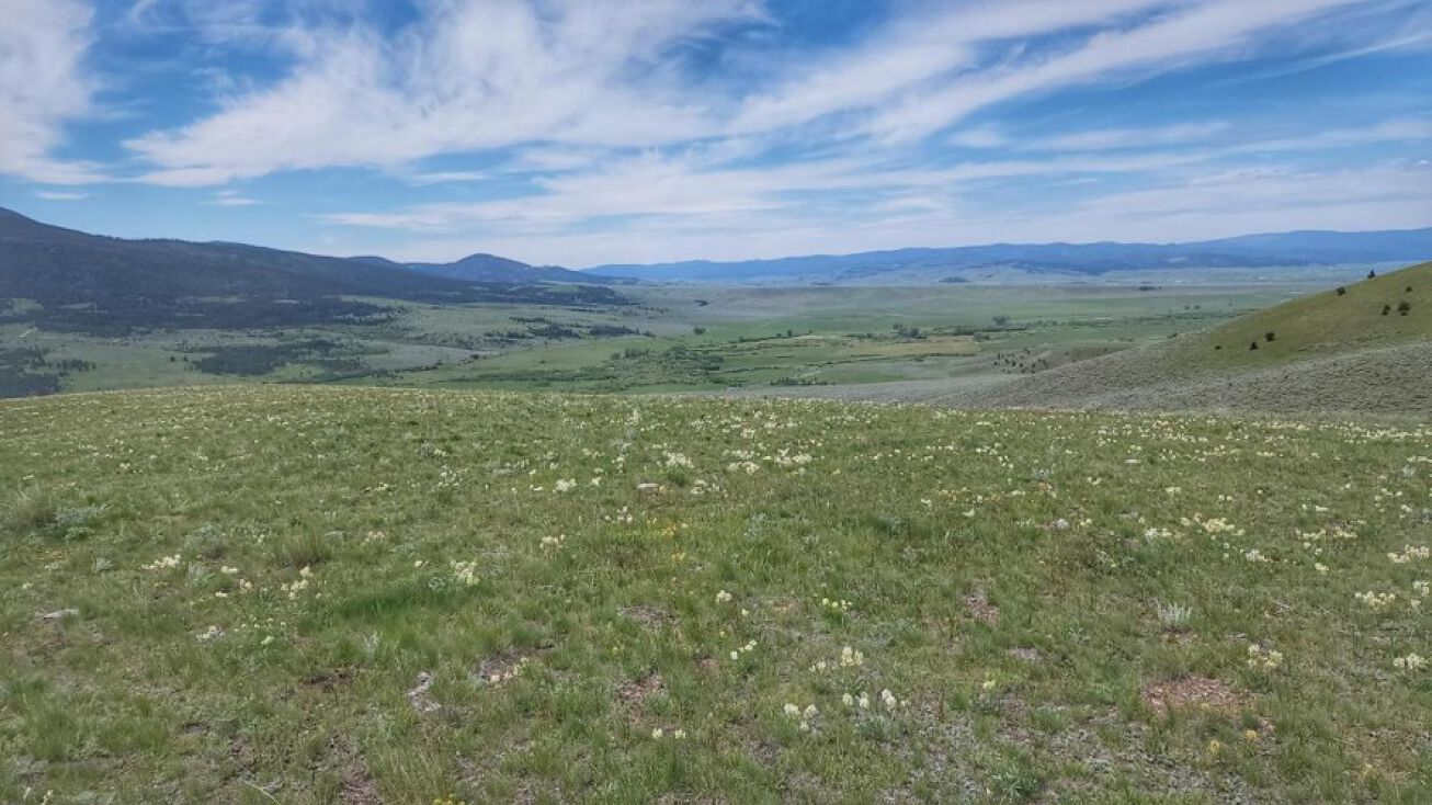 4 Tract, 201.61 +/ Acres, Helmville, MT 59843 Land for Sale 4